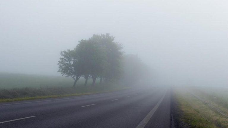 Niebla